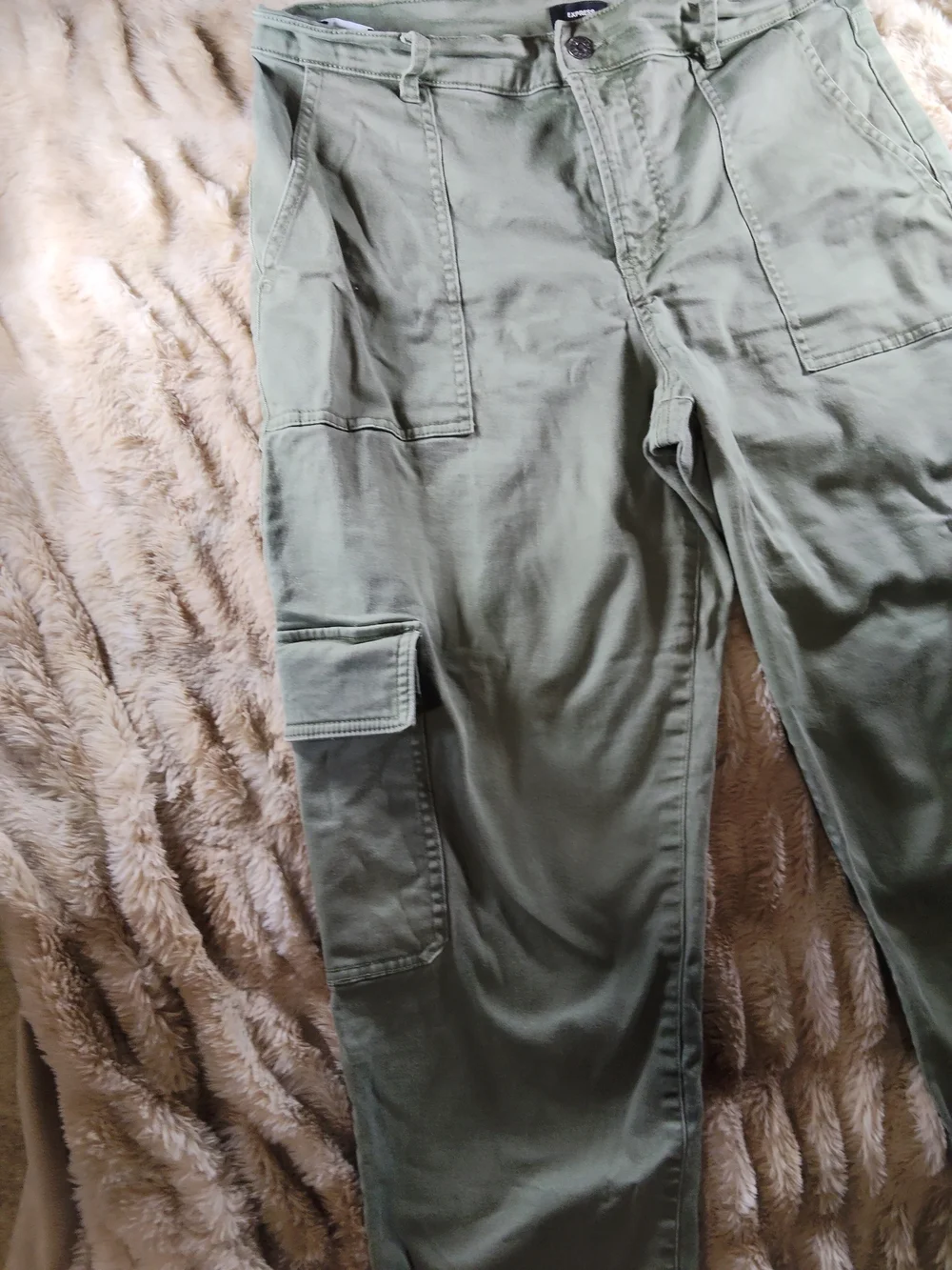 Express Olive Green Cargo Pants with Elastic Ankles - Picture 2 of 12